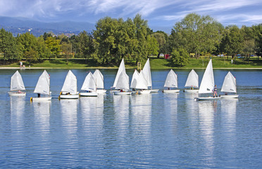 The small sailing ships regatta on the blue lake