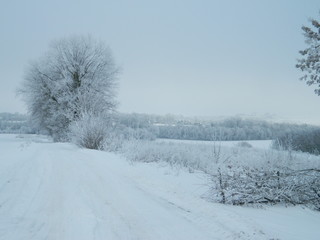 The road to the village.