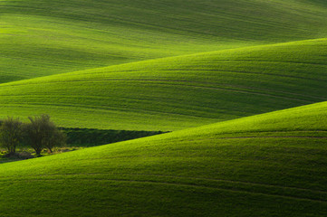 Moravian Tuscany landscape. Fields and meadows in South Morava, Czech republic. Wavy country scenery at sunset.