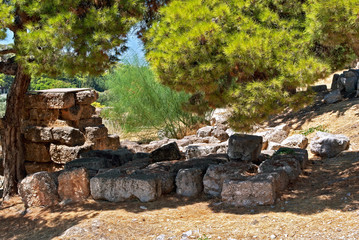 In the shade of trees.