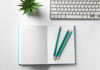 Computer keyboard, notebook and succulent on white table