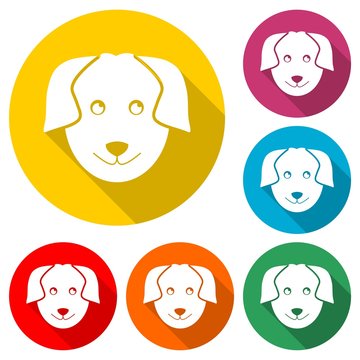 Dog logo, Dog icon, Face dog sign, color set with long shadow