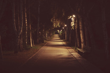 Straße im Park bei Nacht