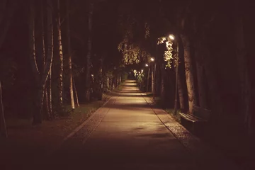Vlies Fototapete Enge Gasse Straße im Park bei Nacht
