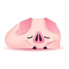 Cute pig character sleeping. 2019 Chinese New Year.