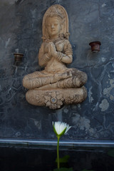 Praying buddha statue on the dark stone wall above opening white water lily flower in a pond