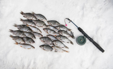  Fish in the snow. The first fishing of the winter season. winter background