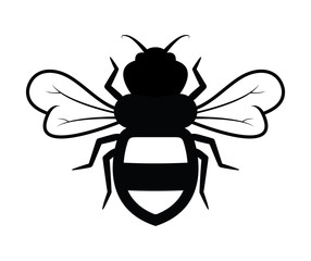 vector bee icon