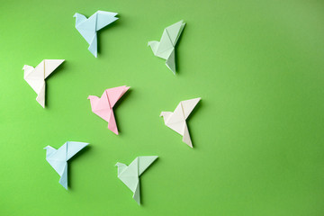 Origami birds on color background
