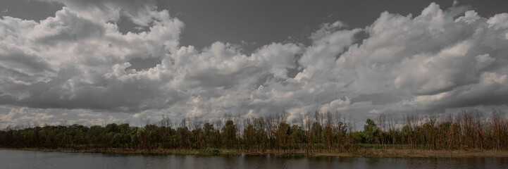 Naklejka na ściany i meble river and forest along the river bank, countryside, panorama. Web banner.