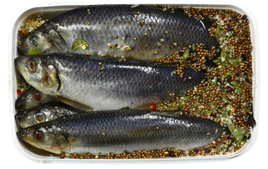 Top view of marinated herring