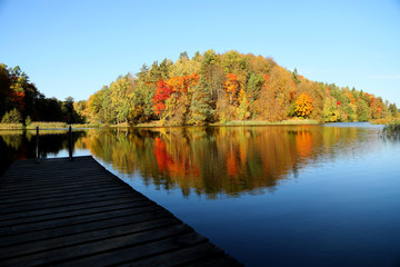 Colored trees with lake in autumn