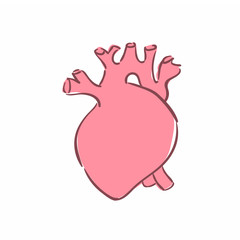 Illustration of a human heart
