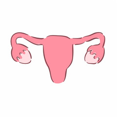 Illustration of a female reproductive system