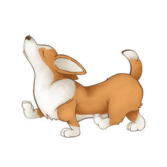 Dog breed corgi proudly walks. Red funny puppy. Illustration isolated - 242531868