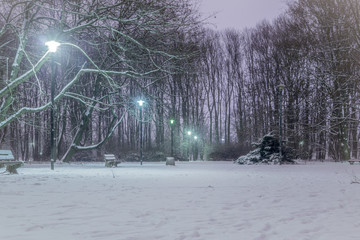 mroźny zimowy wieczór w parku © Henryk Niestrój