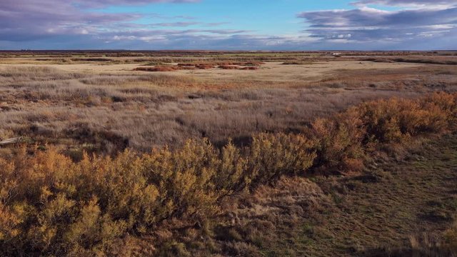 Aerial view, El Taray Lagoon, Quero, Toledo, Castilla la Mancha, Spain, Europe