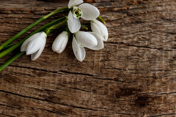 Bouquet of white snowdrops on rustic wooden background