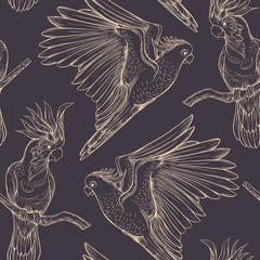 Seamless pattern, background with tropical birds © Elen  Lane