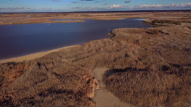 Aerial view, El Taray Lagoon, Quero, Toledo, Castilla la Mancha, Spain, Europe
