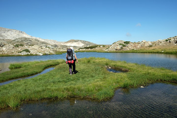 Fototapeta premium A hiker is walking on grassy island in glacial lake
