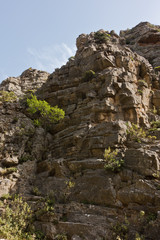 Fototapeta na wymiar Vertical canyon walls at Imbros gorge near Chora Sfakion, island of Crete, Greece