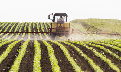 Tractor spraying pesticides at soy bean field