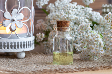A bottle of yarrow essential oil with yarrow flowers