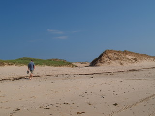 Fototapeta na wymiar homme marchant dans le sable, des Îles de la madelaine, Québec, Canada
