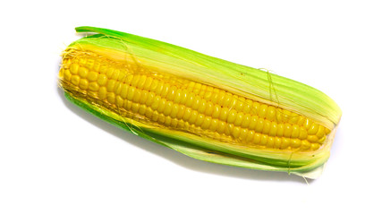 Sweet Corn On White Background