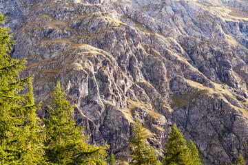 Beautiful mountain rock and pine trees landscape background, Mount Pelvoux, France