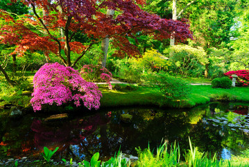 Fototapety  ogród japoński w Hadze