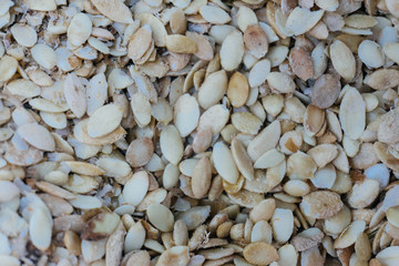 ARGAN SEEDS AND ARGAN NUTS. Making of argan oil from argan nuts and seeds in Morocco