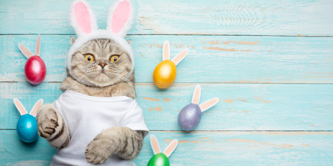 Cute funny cat with rabbit ears, easter background with eggs. Banner, top view