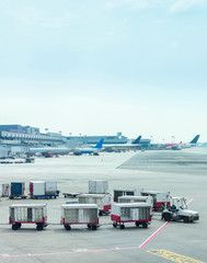 Luggage carriages by Changi airport