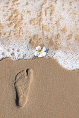 Female footprint on a beach with a Plumeria (Frangipani) flower being washed out from sea. Tropical background - footprint on sand, exotic flower and sea.