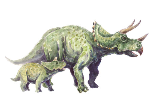 Family triceratops. Mother and child.
