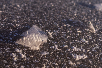 ледяные цветы