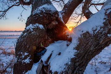 солнечный луч