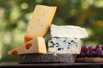 Camembert, brie, hard cheese and blue cheese on wooden board. Slices of various cheeses and grapes on blurred background. Dorblu and soft cheese on wooden boards. Cheese and grapes on bokeh © Lazartivan