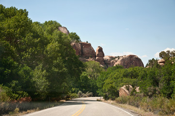 Winding road with trees in southwest USA