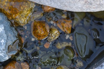 Rocks from the mountain river. Background of river stones in the mountains of Kyrgyzstan 