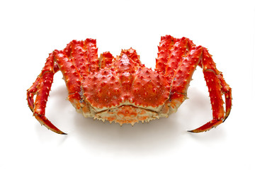 Red king crab