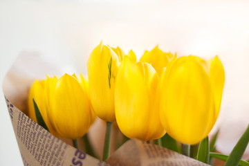 A bouquet of yellow tulips. A gift to a woman's day from yellow tulip flowers. Spring. spring...