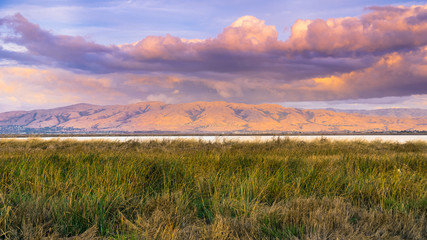 Sunset landscape of the marshes of south San Francisco bay, Mission Peak covered in sunset colored...