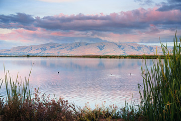 Mission Peak covered in sunset colored clouds reflected in the ponds of south San Francisco bay,...