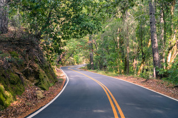 Winding road going through a forest, Big Basin State Park, Santa Cruz mountains, San Francisco bay area, California © Sundry Photography