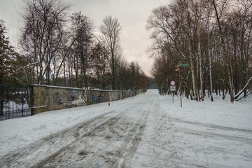 Leśna droga w zimie