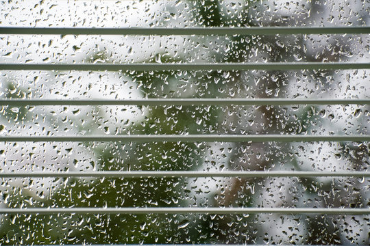 Looking outside through open blinds on a rainy day