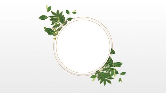 Photo frame for copy space with decorative plant